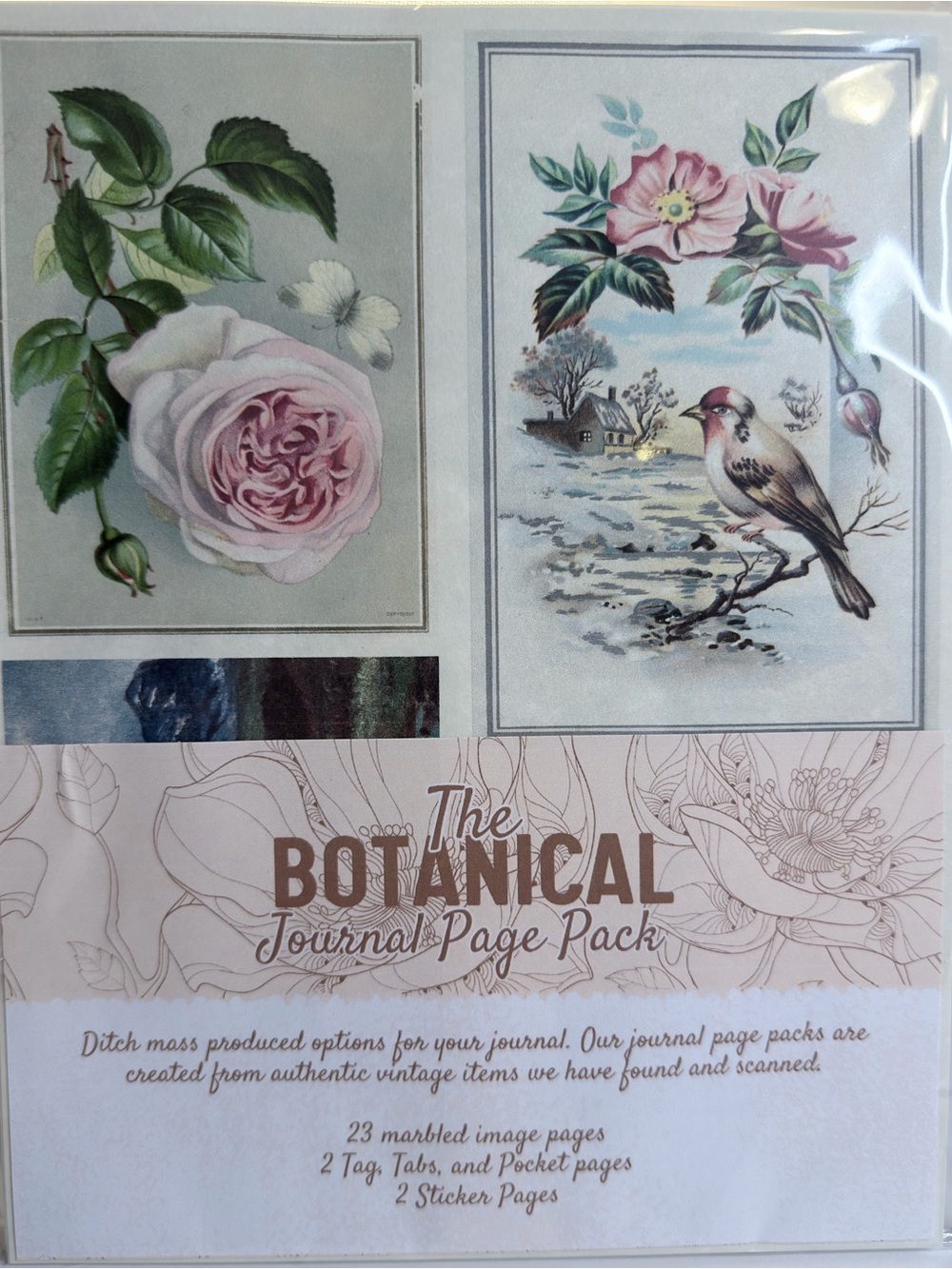 The Botanical Journal Page Pack – Floral Rose & Bird Design (Pink, Green, Blue)